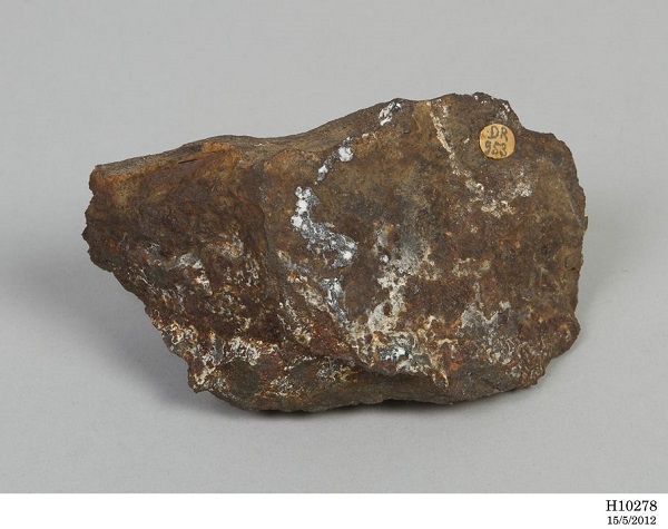 Photograph of a mottled brown and grey rock against a grey background.